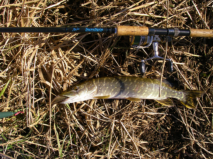 The one I managed to land on my first session.