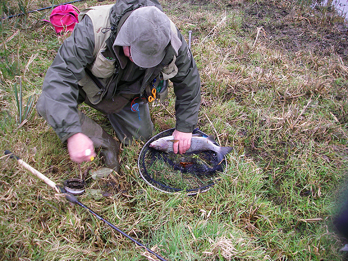 Nigel prepares to unhook his largest grayling.