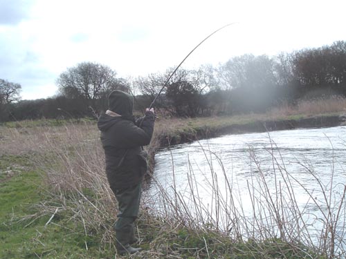 The first pike of the day puts a bend in the rod.