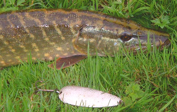 They're all nice on a day like that.