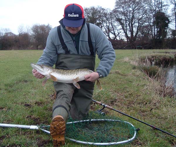 The pike are in wonderful condition.  This was the one he caught twice.