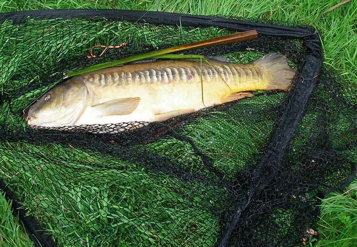 a beautifully scaled mirror.