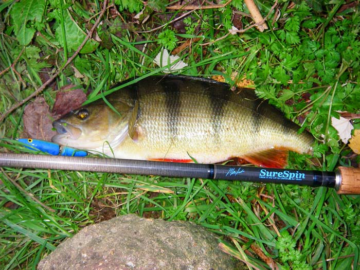 this one also fell to the Rapala on my 'bass gear'.