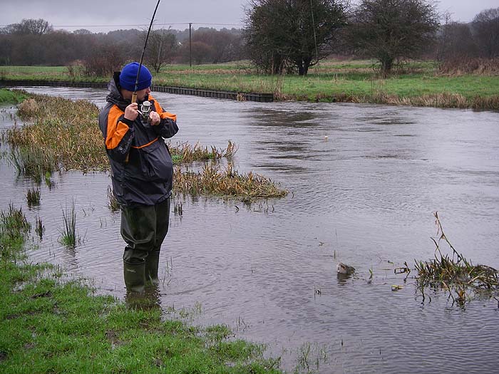 Dave slides the pike ashore onto the shallowly flooded grass.