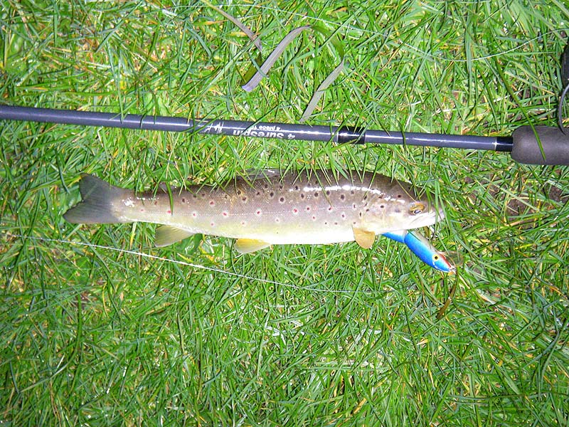 Much smaller than the pike that Ben lost.