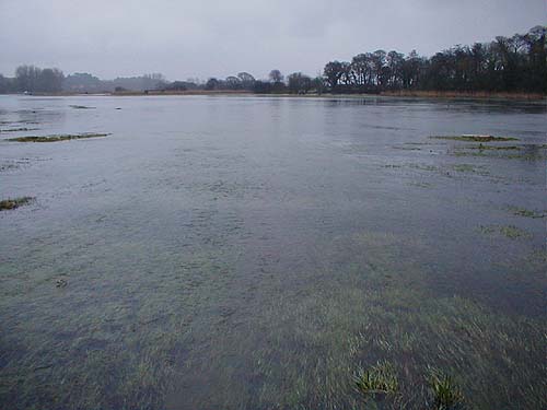 The river does not just form a still water lake but flows quite fast across the meadows