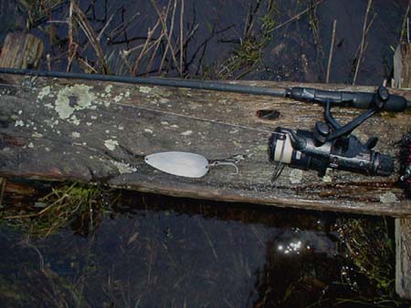 This is the same spoon that caught my three fish the other week.