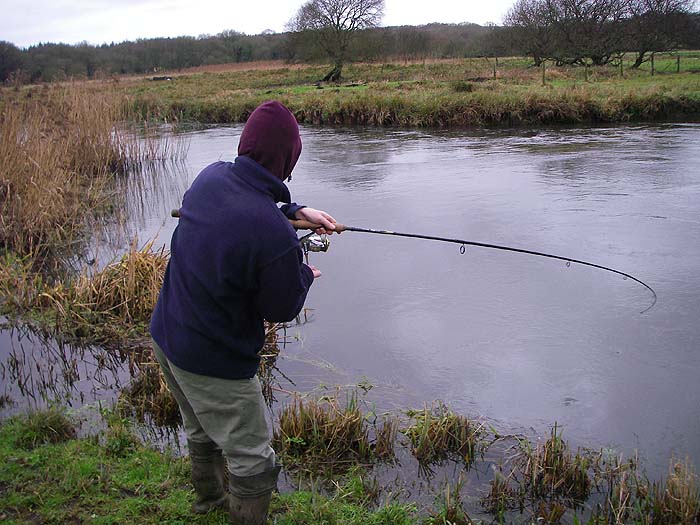 This was Richard's first take - a fish pushing twenty pounds but it came off at the net.