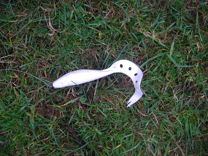 An 8 inch, unweighted, Sandra lure that I'd just bought to try out. (I'd have liked a bigger one).