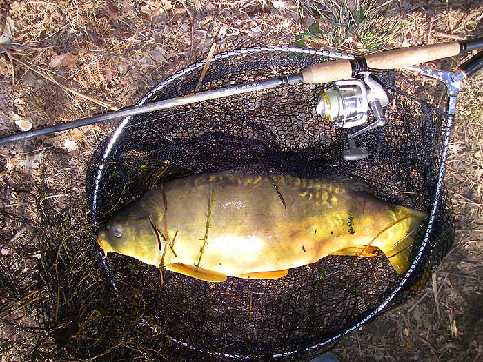 Nice netfull - for my first of the year.