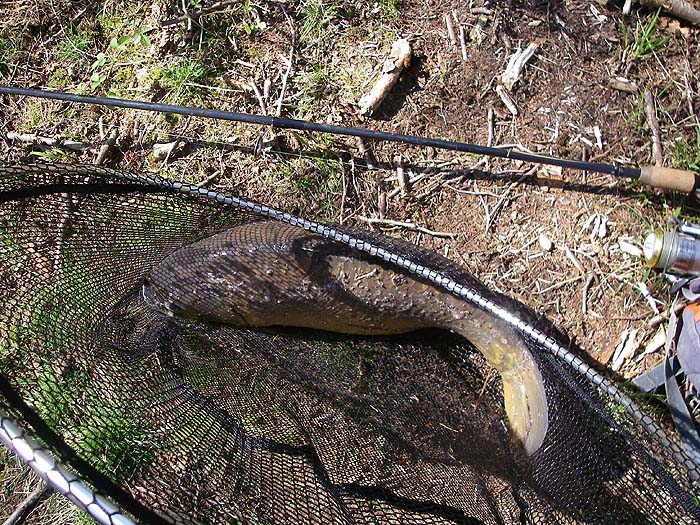 Covered in debris but none the worse for it.