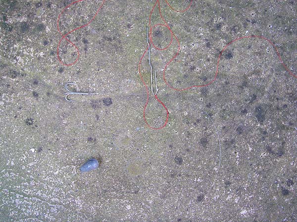 Weight, hook and straightened paper clip with thread attached.