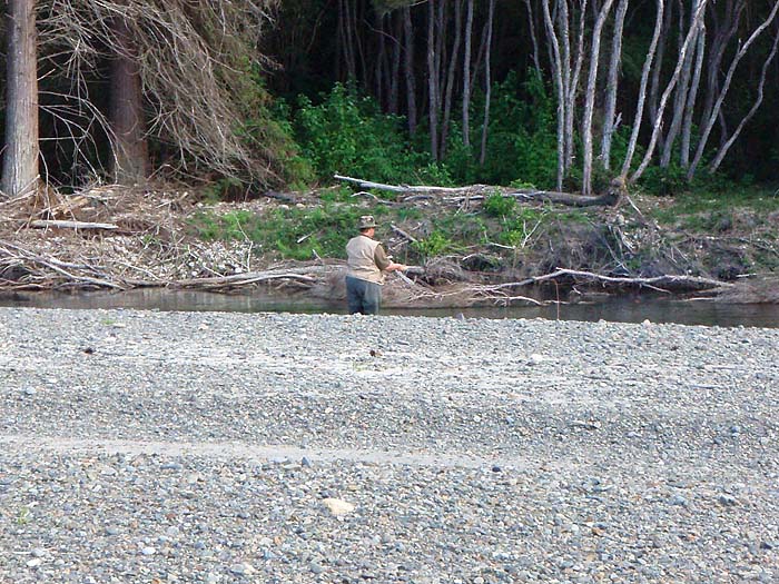 Alan's wife Sandy casts a fly towards the very snaggy bank - again 'just my ticket'.