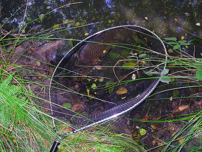 It's in the net but my heart was beating like a drum with the excitement.