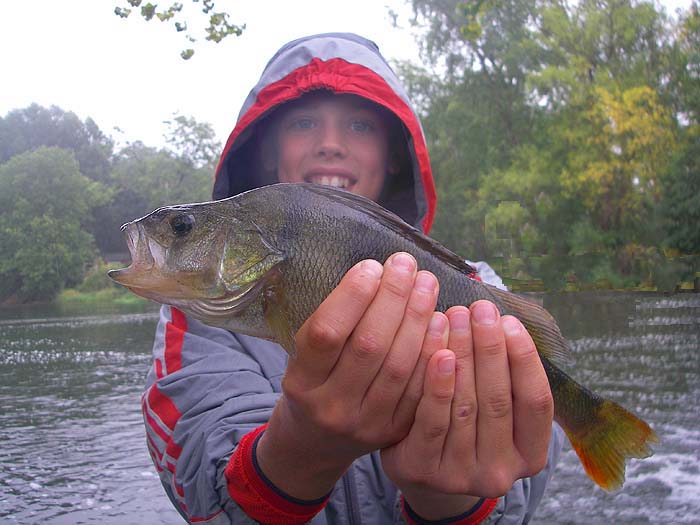 The 'soft focus' is due to rain and condensation.  This was Ben's only proper fish of the session..