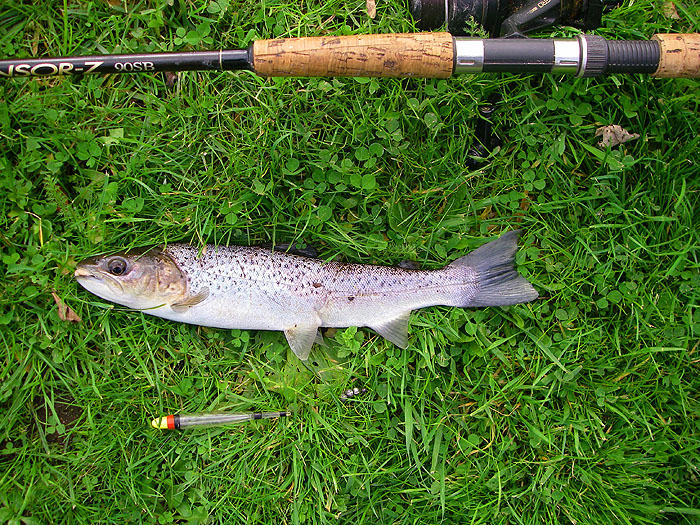 It jumped about a bit and was quite a handful on the float gear.