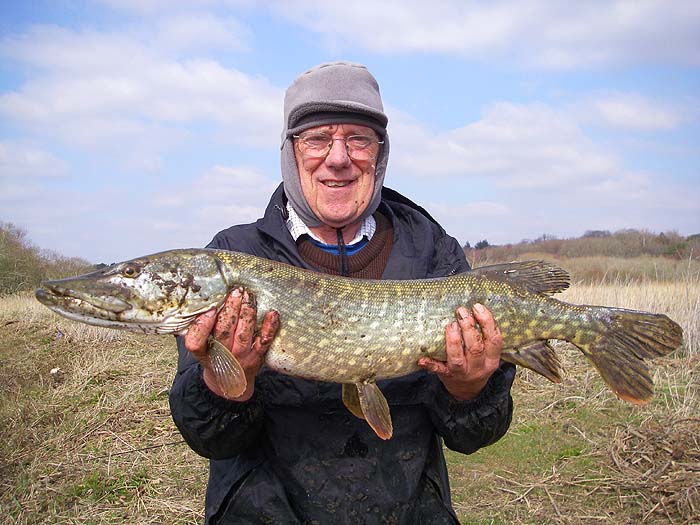 Fifteen or sixteen pounds of pike that didn't mind eating a less than fresh sardine.