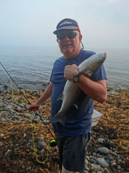 Cracking fly-caught thicklip.