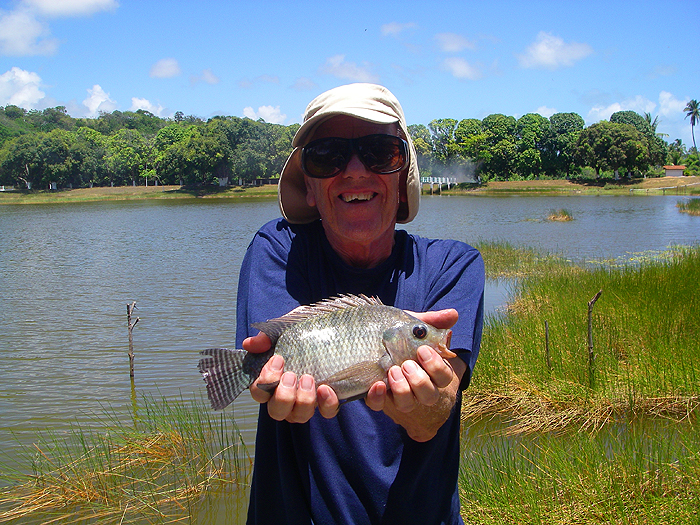 A bigger tilapia fell to spicy sausage.