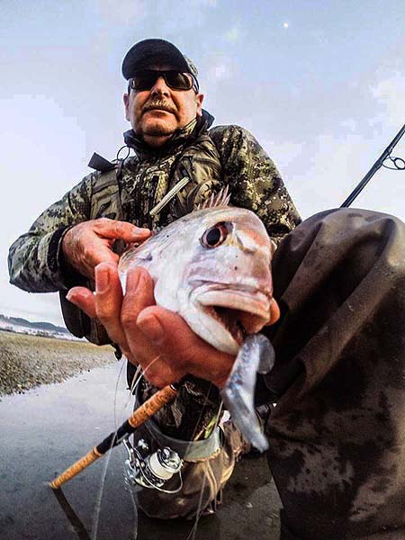 They have a fair old mouth on them and clearly murder soft plastics..