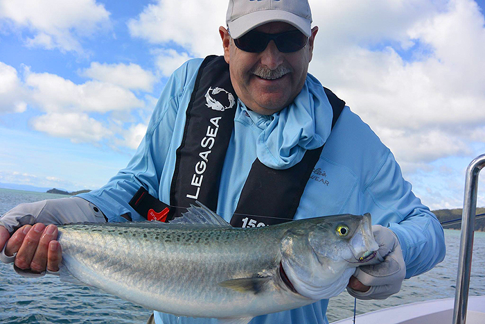 What a cracking animal. Everythging you would expect of a pelagic predator.