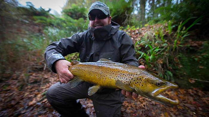 Another spotty monster.