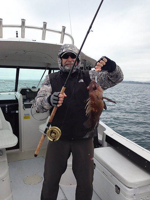 Another spotty monster.