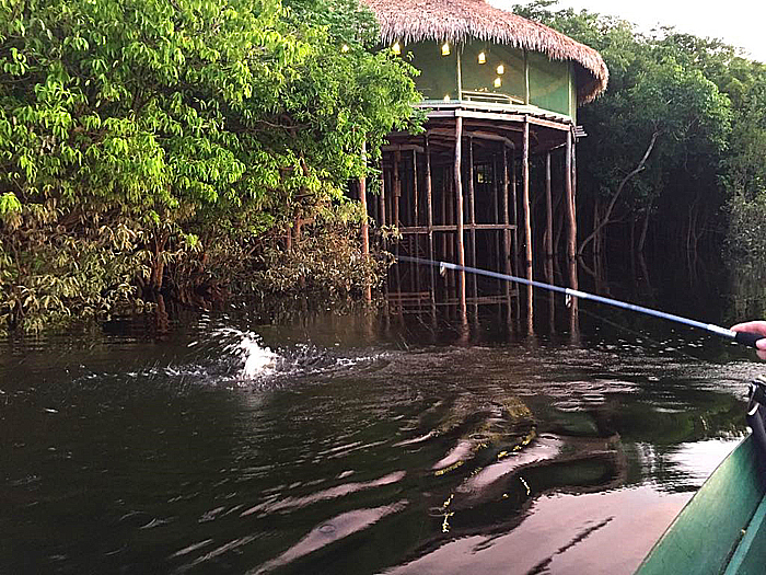 Another spotty monster.