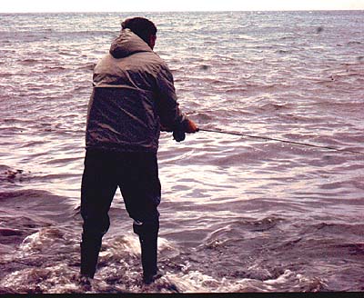 Bass, mullet and the occasional pollack or sand smelt are taken from this type of beach.