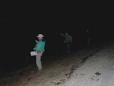 The fish are attracted to the lights on a bridge.