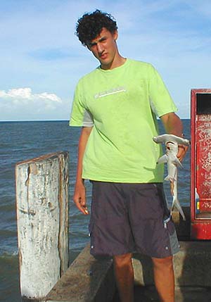 Another picture of the little hammerhead - these fish release their young in shallow water.  I think this one was returned alive.