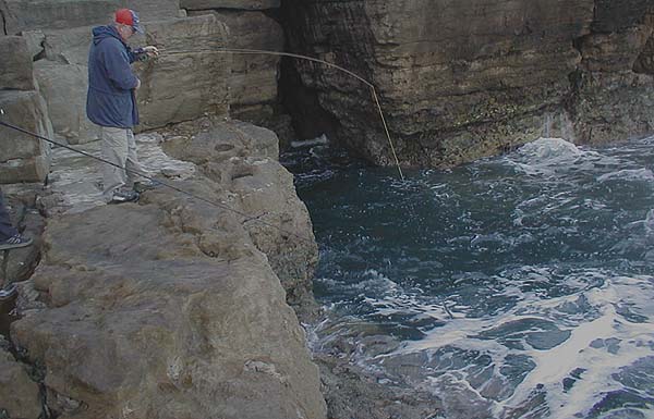 These fish are as acrobatic as any seatrout on the light fly gear.