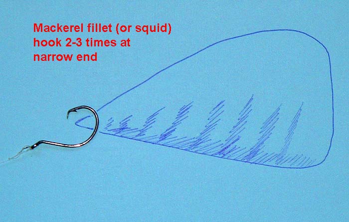 Simplicity itself. The sketch shows how the bait is hooked.