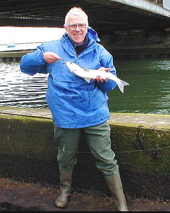 Grey mullets are the ultimate 'light tackle' fish.  Despite their reputation for 'uncatchability' they fight like hell and can be caught in large numbers given the right approach.