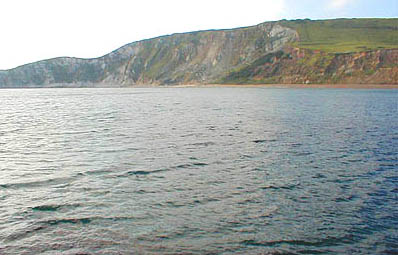 The long stretch of shingle can provide excellent fishing at times.  Harry lost his big fish somewhere in the middle of the beach.