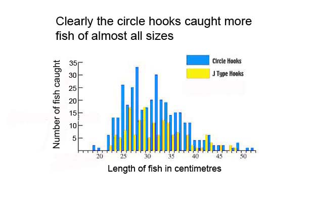 Only in the case of the very largest fish did the J hooks come close.