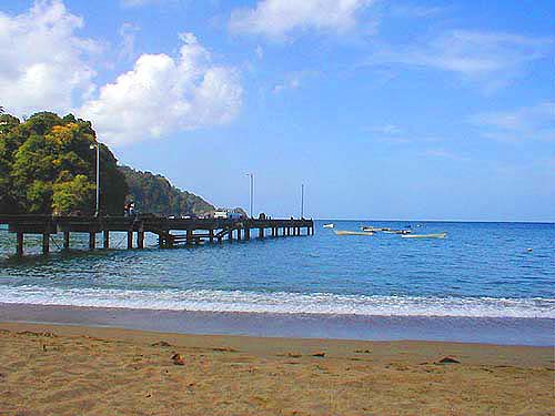 These are the fishing boats used by fishermen in Tobago.