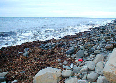 A controller can be a big help in an onshore wind or to reach over the breakers full of crappy weed.