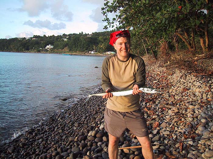 Another fast moving fish.  Houndfish tend to dissipate their speed by jumping and thrashing about.  In combination with the beak and sharp teeth this results in many escaping.