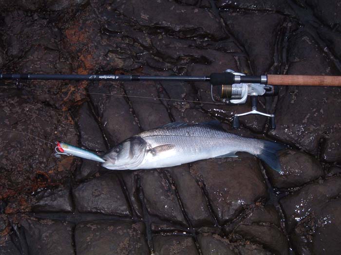 4Surespin 30lb braid.