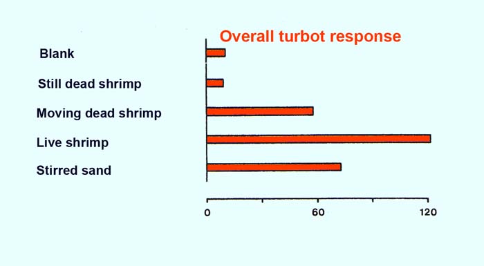 Stationary baits had NO APPEAL and LIVE BAIT WAS BEST.