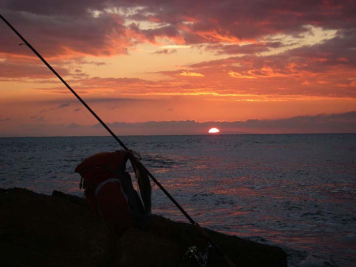 Dawn and dusk are often the key times.