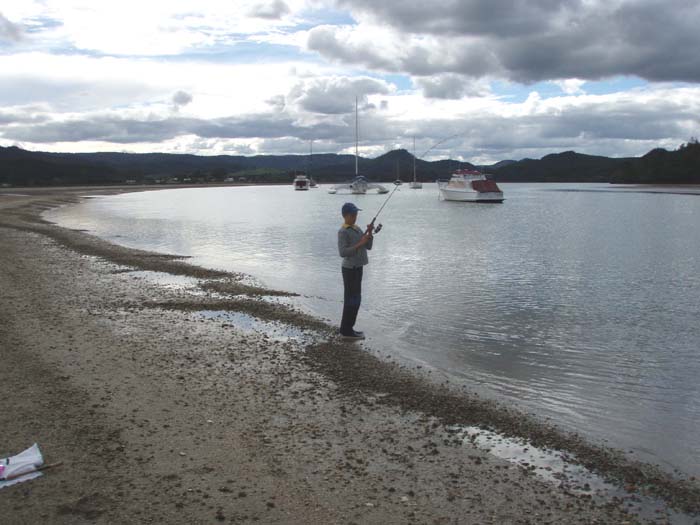 This one turned out to be a kahawai.