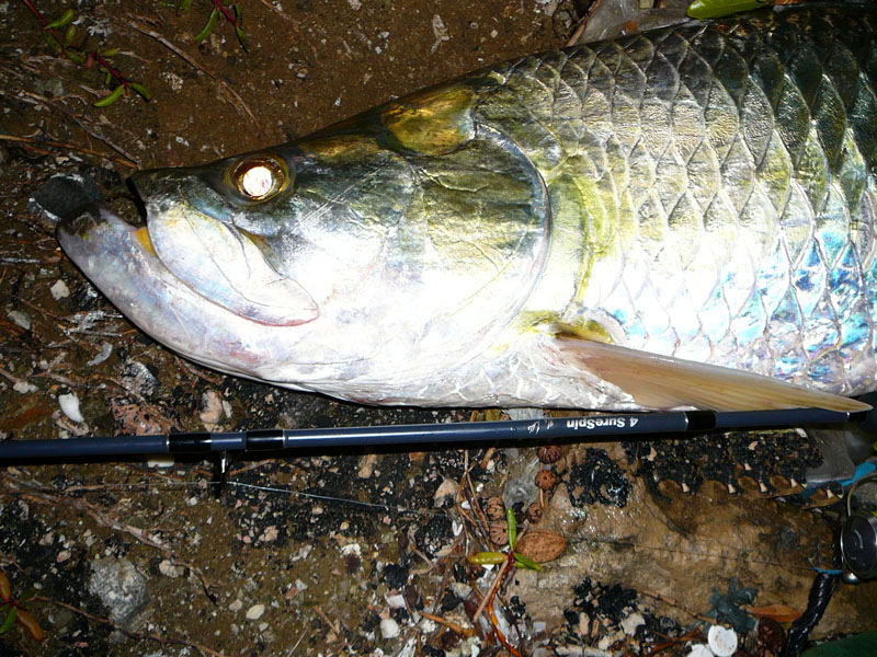 a fantastic catch - it would 'make' anyones holiday.