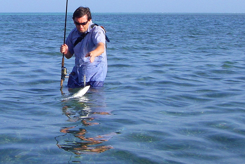 A short wire trace is essential if you don't want to lose lures.