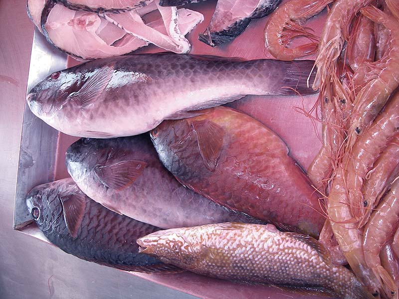 The males have a black blotch behind the gill cover.  The other fish is a wrasse.