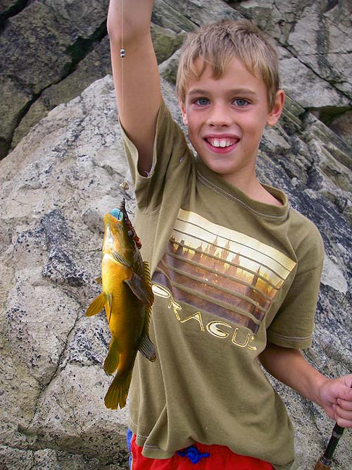 No monster but these fish pull hard and are quite tricky to keep out of the kelp on the light gear when they get to this size. Look at that turquoise mouth.
