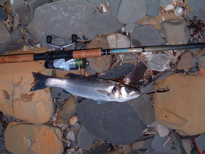 Still a good reliable bass lure.