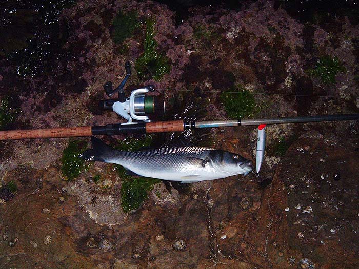Exciting bass catchers that are pretty safe even over near-surface kelp and rocks.