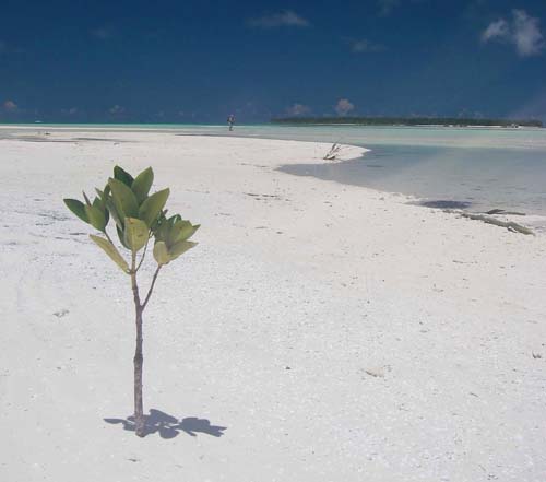 As well as fishing from the boat the lads did a fair bit of spinning and fly fishing from wonderful beaches like this.